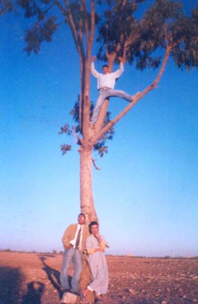 moi et abdlmjid et alokas